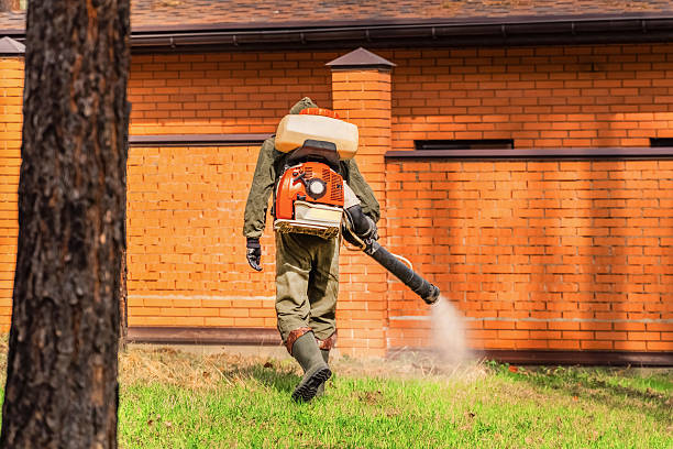Bed Bug Clearance Verification and Documentation in Rio Linda